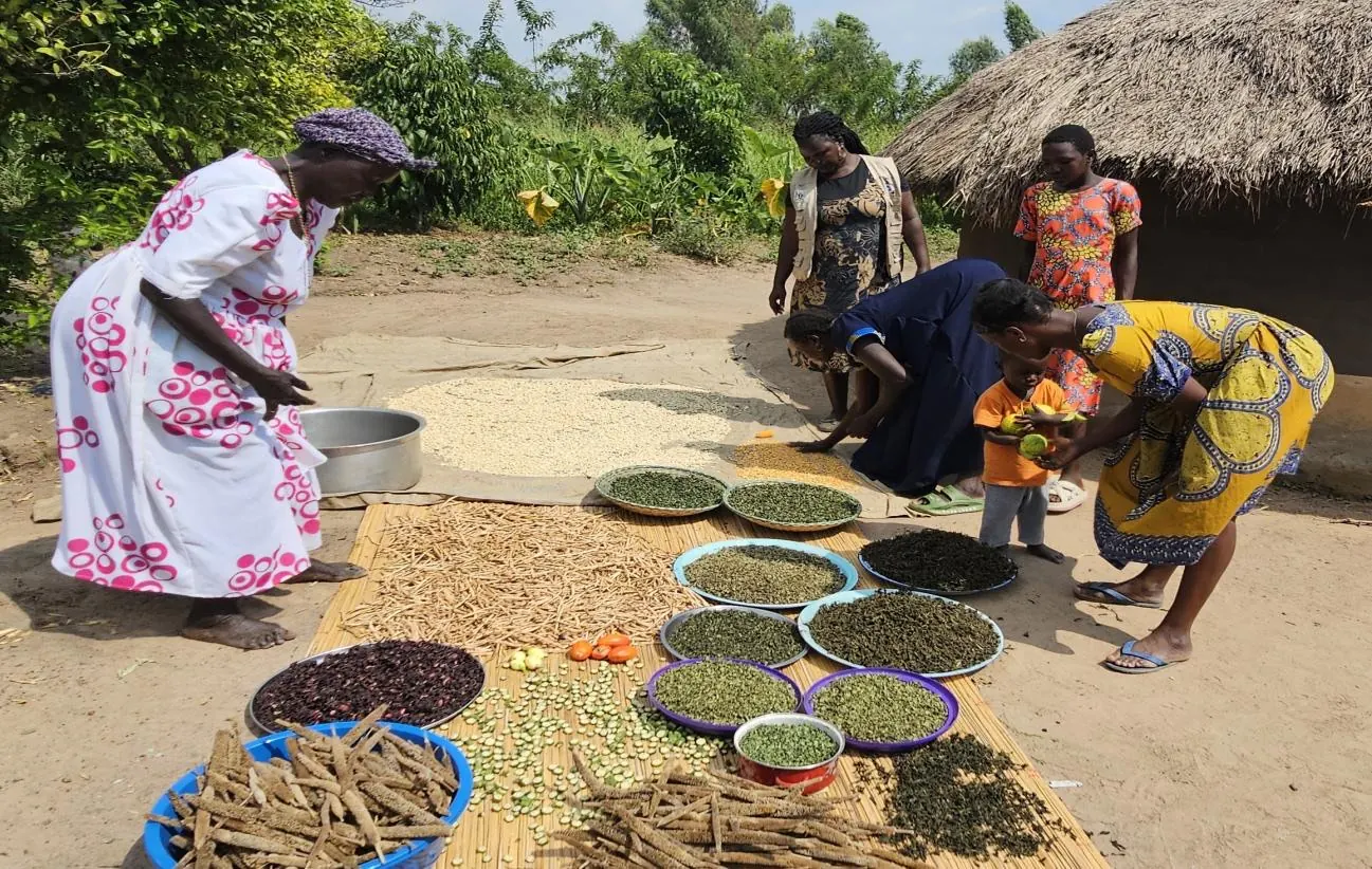 Women sorting and drying indigenous seeds in baskets for community seed banks